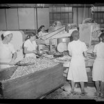 Filling the pies, Table Talk factory, Worcester