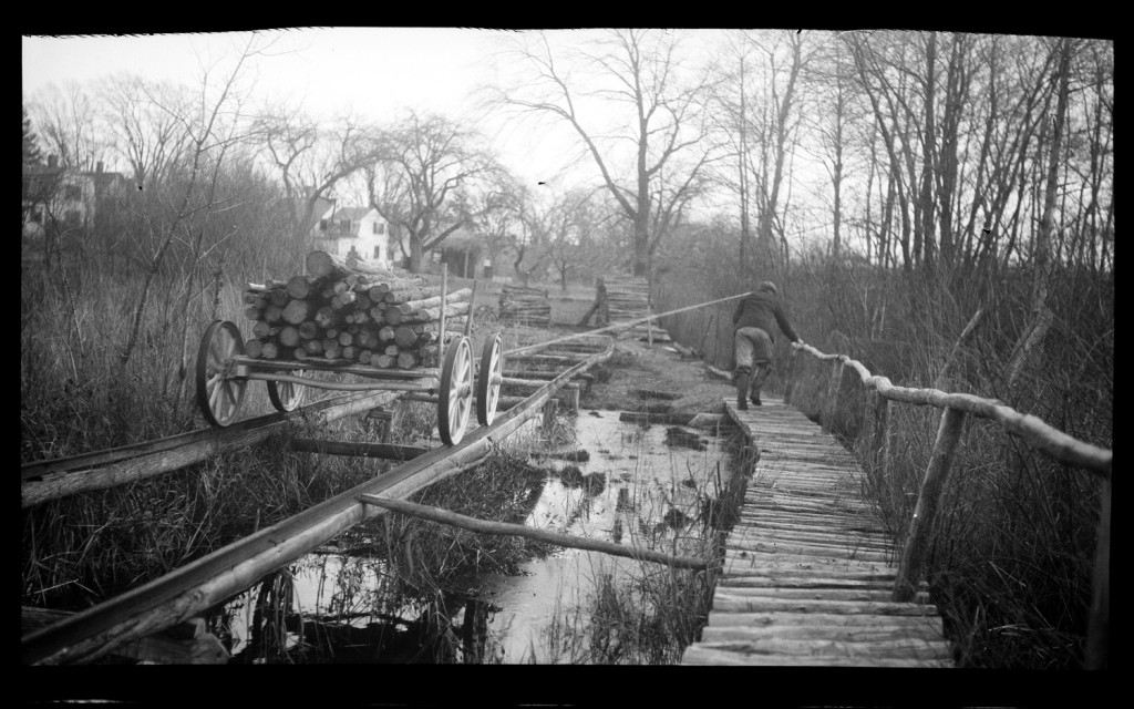 Logging