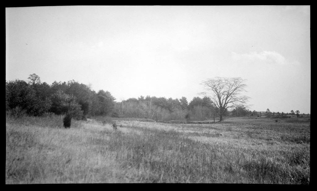 Near Crossmans Pond