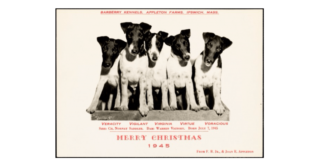 Barberry Kennels, Appleton Farms, Ipswich, Mass. Merry Christmas, 1945, from J.R., Jr. & Joan E. Appleton