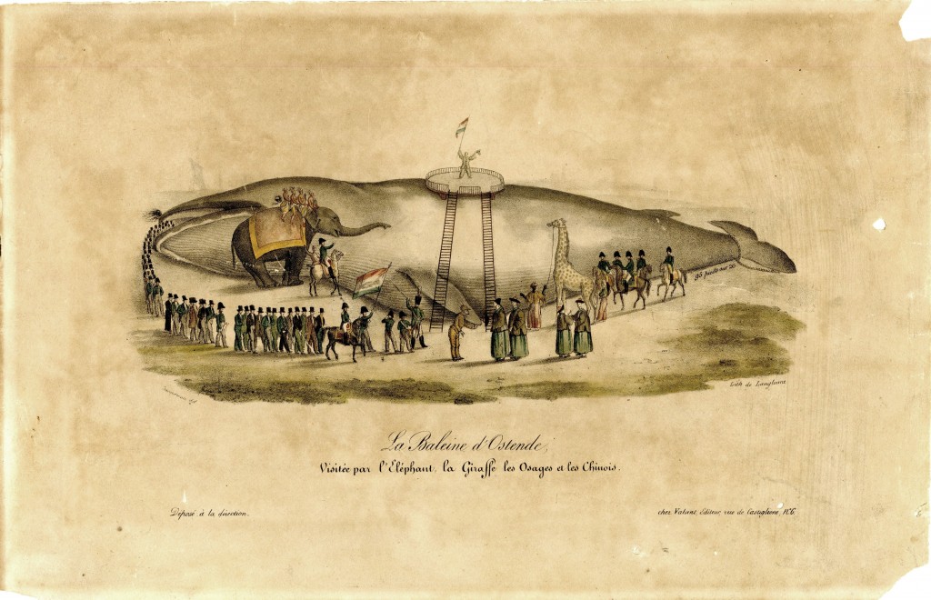 La Baleine d'Ostende print