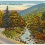 Along Cold River, Mohawk Trail, Mass.
